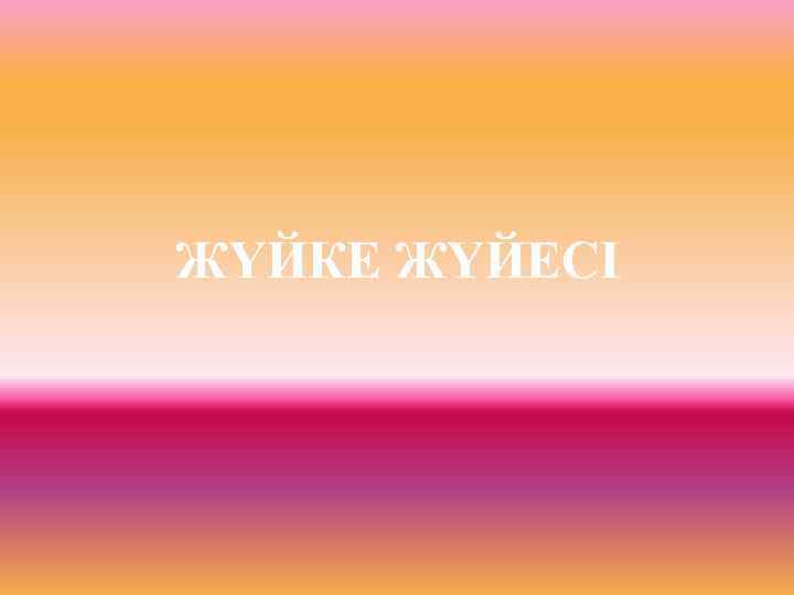 ЖҮЙКЕ ЖҮЙЕСІ 