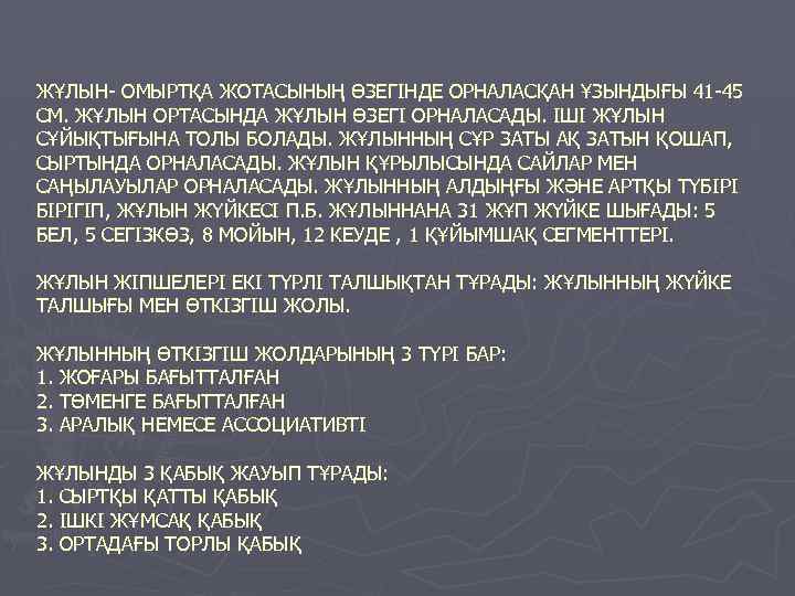 ЖҰЛЫН- ОМЫРТҚА ЖОТАСЫНЫҢ ӨЗЕГІНДЕ ОРНАЛАСҚАН ҰЗЫНДЫҒЫ 41 -45 СМ. ЖҰЛЫН ОРТАСЫНДА ЖҰЛЫН ӨЗЕГІ ОРНАЛАСАДЫ.