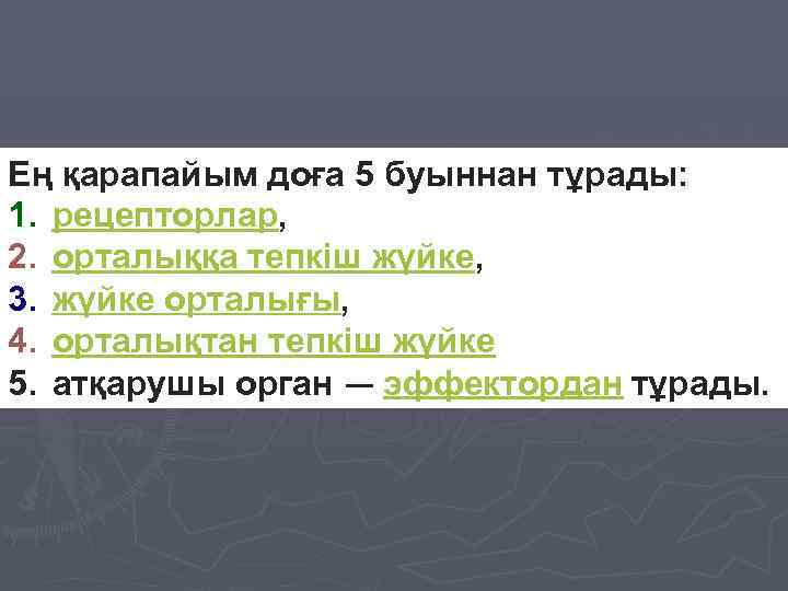 Ең қарапайым доға 5 буыннан тұрады: 1. рецепторлар, 2. орталыққа тепкіш жүйке, 3. жүйке