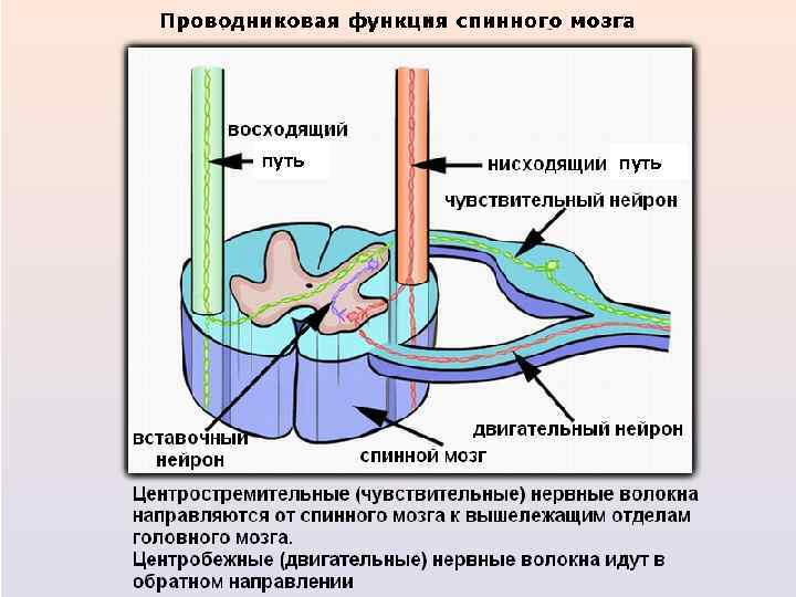 путь 