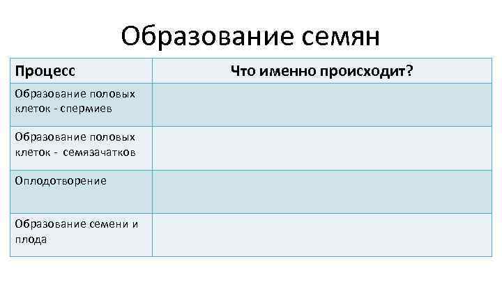 Образование семян Процесс Образование половых клеток - спермиев Образование половых клеток - семязачатков Оплодотворение