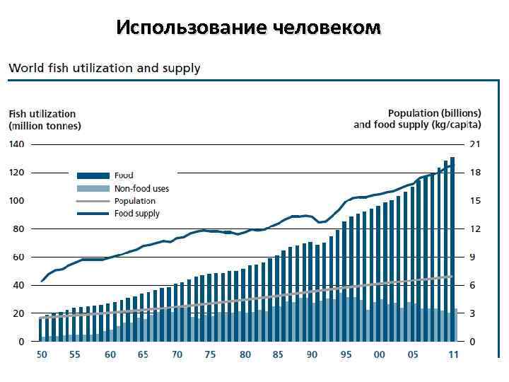 Использование человеком 