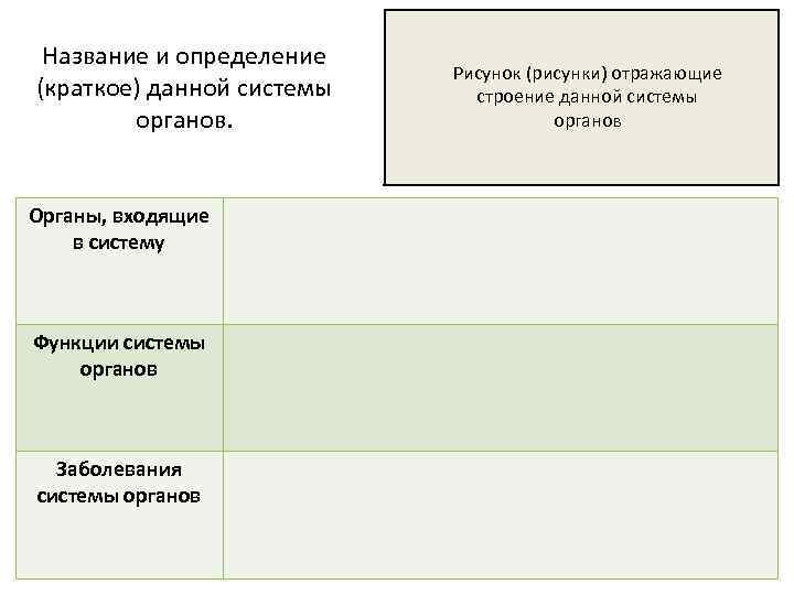 Название и определение (краткое) данной системы органов. Органы, входящие в систему Функции системы органов