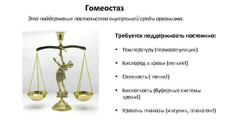 Гомеостаз картинки для презентации