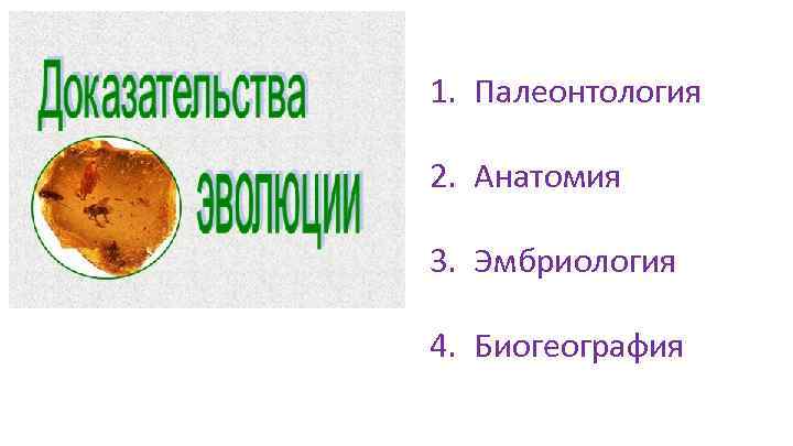 1. Палеонтология 2. Анатомия 3. Эмбриология 4. Биогеография 