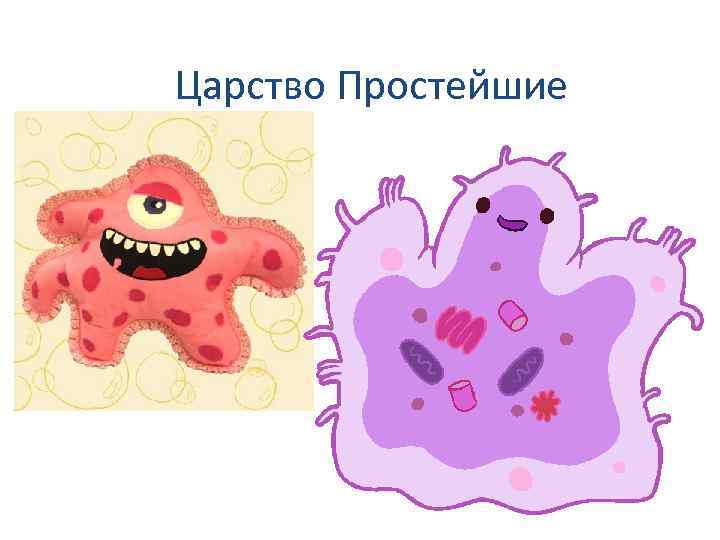 Царство Простейшие 