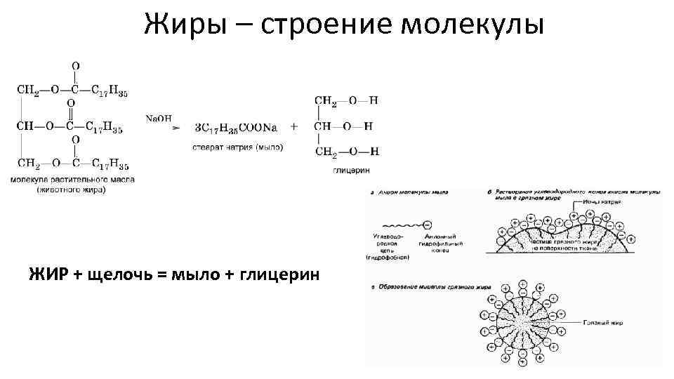 Жиры – строение молекулы ЖИР + щелочь = мыло + глицерин 