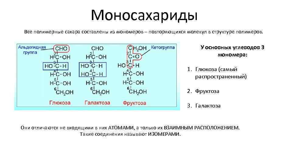 Окончание в названии углеводов