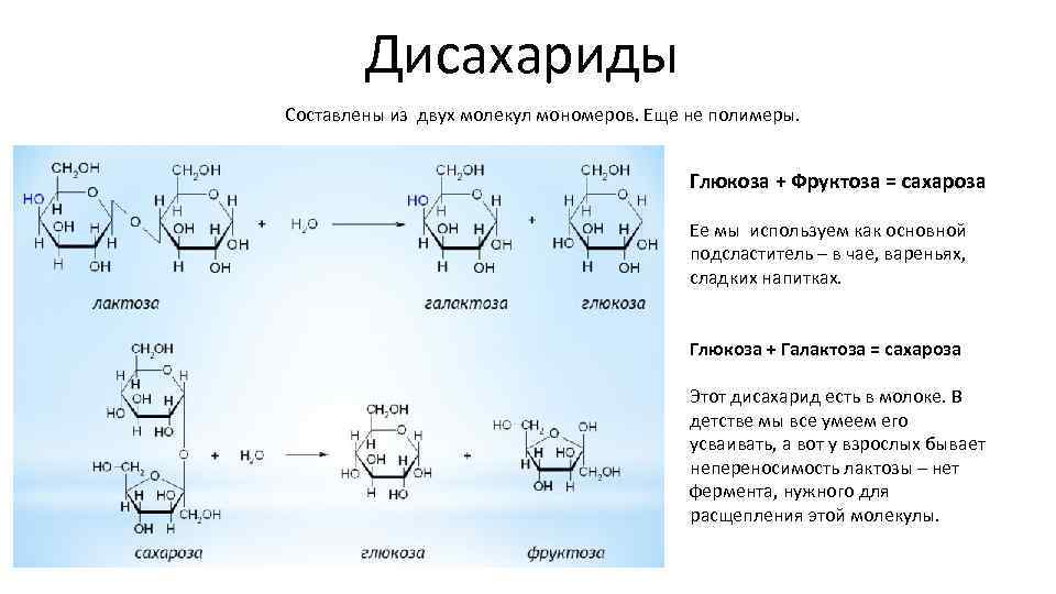 Дисахариды Составлены из двух молекул мономеров. Еще не полимеры. Глюкоза + Фруктоза = сахароза