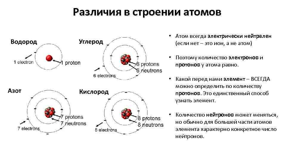 Число протонов в ядре углерода