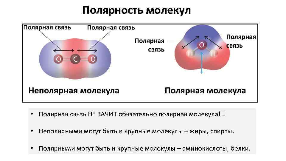 Полярность молекул • Полярная связь НЕ ЗАЧИТ обязательно полярная молекула!!! • Неполярными могут быть