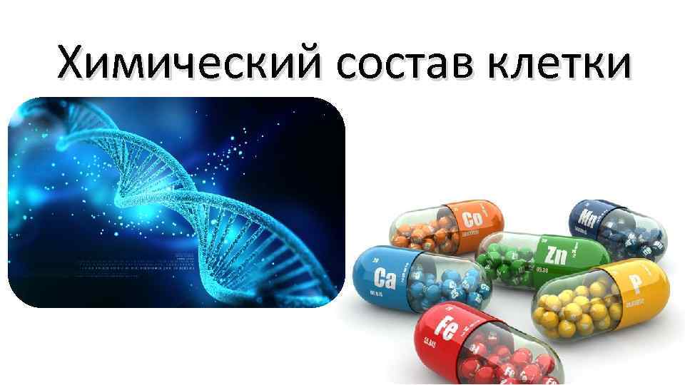 Химический состав клетки 