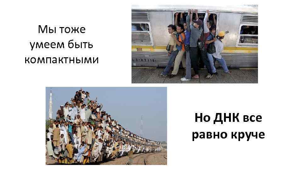 Мы тоже умеем быть компактными Но ДНК все равно круче 