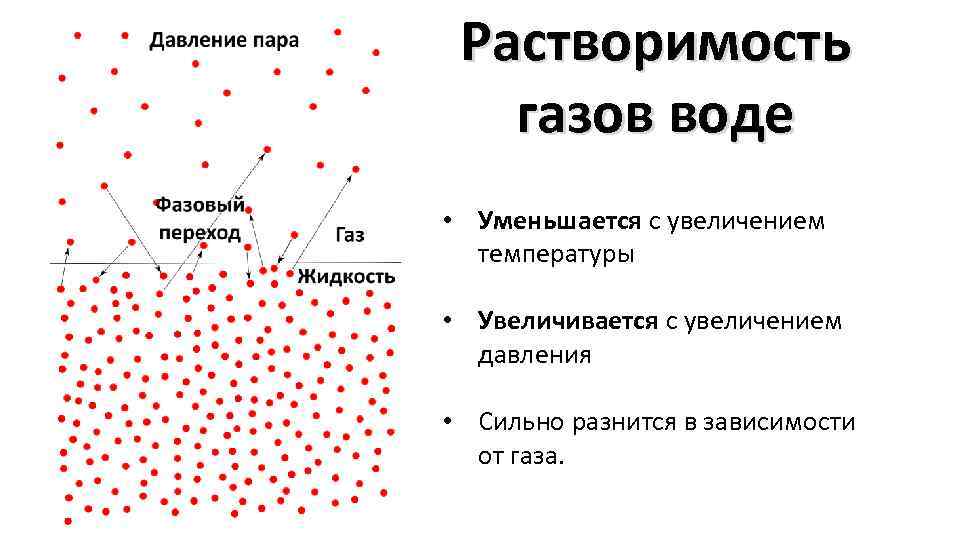 Растворимость газов воде • Уменьшается с увеличением температуры • Увеличивается с увеличением давления •