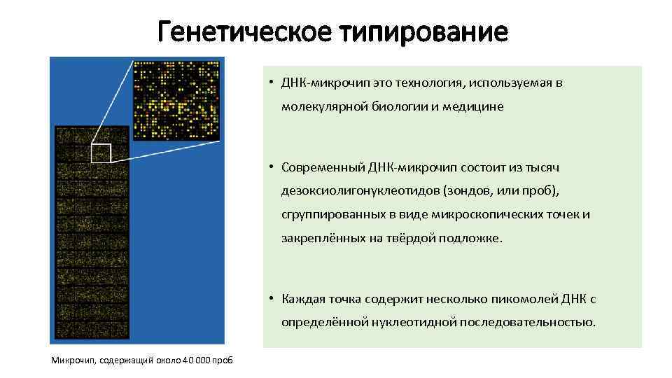 Оптимальной схемой приема микродозированных кок является