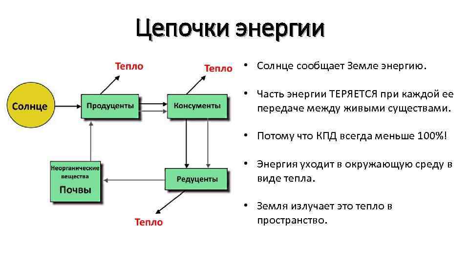 Цепочки энергии • Солнце сообщает Земле энергию. • Часть энергии ТЕРЯЕТСЯ при каждой ее