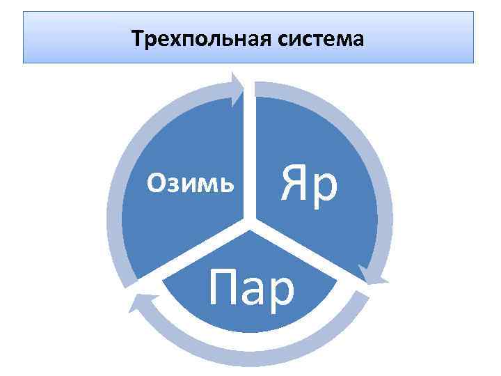 Трехпольная система Озимь Яр Пар 