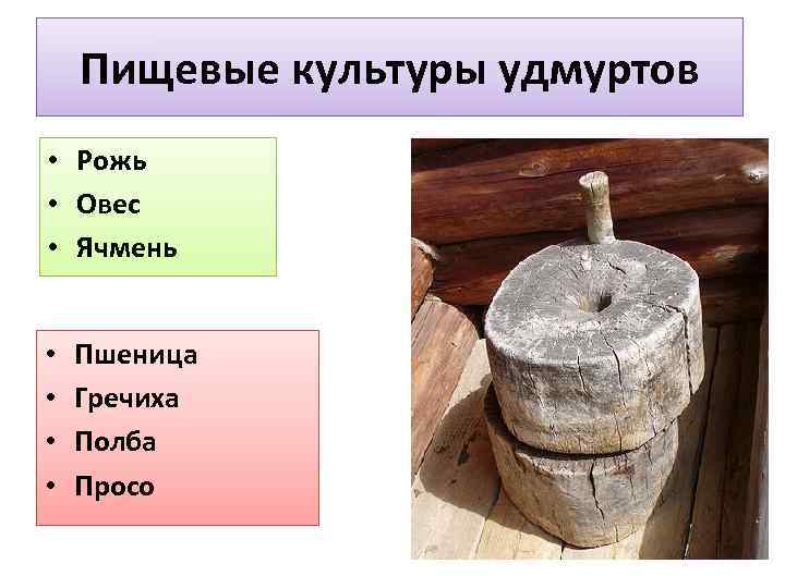 Пищевые культуры удмуртов • Рожь • Овес • Ячмень • • Пшеница Гречиха Полба