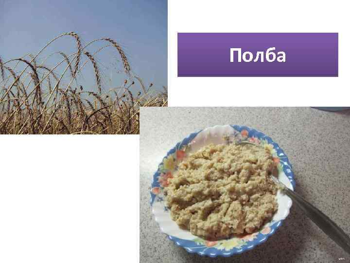 Полба 