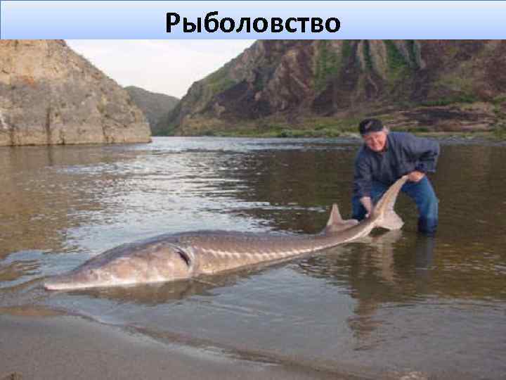 Рыболовство 