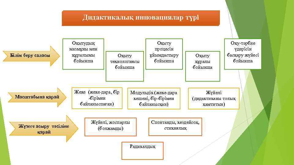 Дидактикалық инновациялар түрі Білім беру саласы Оқытудың мазмұны мен құрылымы бойынша Масштабына қарай Жүзеге