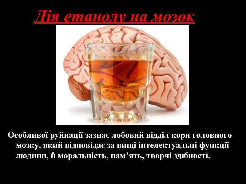 Дія етанолу на мозок Особливої руйнації зазнає лобовий відділ кори головного мозку, який відповідає