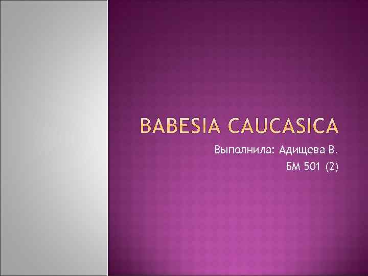 Выполнила: Адищева В. БМ 501 (2) 