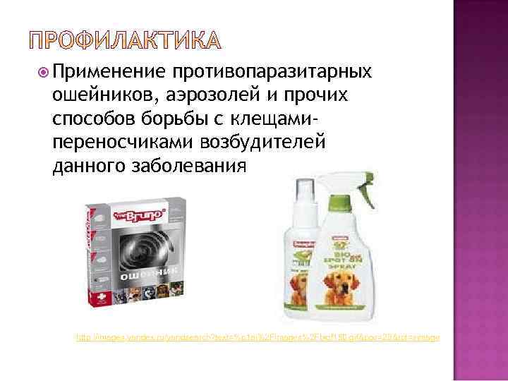  Применение противопаразитарных ошейников, аэрозолей и прочих способов борьбы с клещамипереносчиками возбудителей данного заболевания