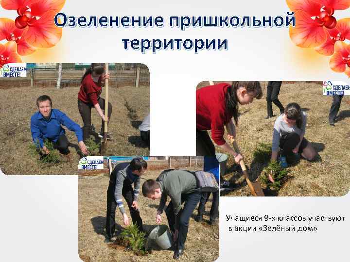 Озеленение пришкольной территории Учащиеся 9 -х классов участвуют в акции «Зелёный дом» 