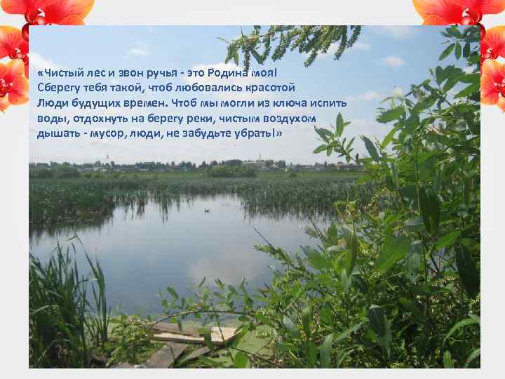  «Чистый лес и звон ручья - это Родина моя! Сберегу тебя такой, чтоб