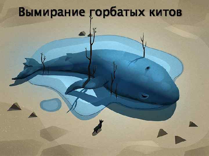 Вымирание горбатых китов 