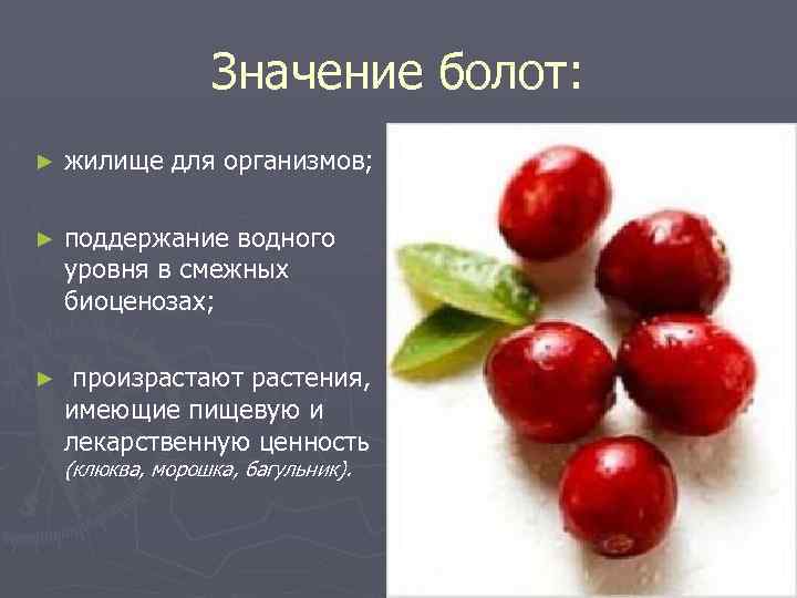 Значение болот: ► жилище для организмов; ► поддержание водного уровня в смежных биоценозах; ►