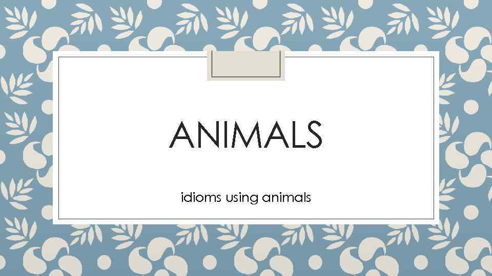 ANIMALS idioms using animals 