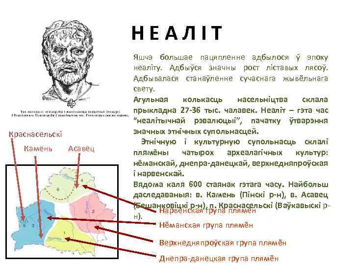 НЕАЛІТ Краснасельскі Камень Асавец Яшчэ большае пацяпленне адбылося ў эпоху неаліту. Адбыўся значны рост