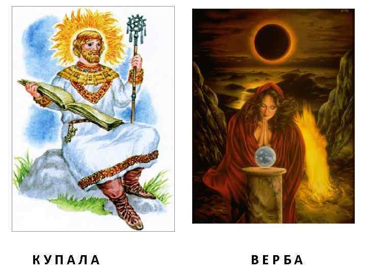 КУПАЛА ВЕРБА 