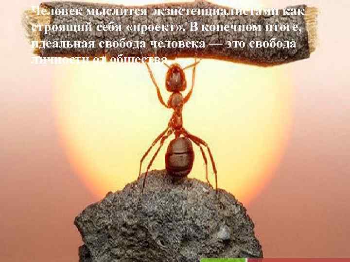 Человек мыслится экзистенциалистами как строящий себя «проект» . В конечном итоге, идеальная свобода человека
