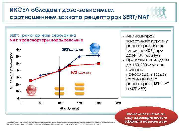 ИКСЕЛ обладает дозо-зависимым соотношением захвата рецепторов SERT/NAT SERT: транспортеры серотонина NAT: транспортеры норадреналина S
