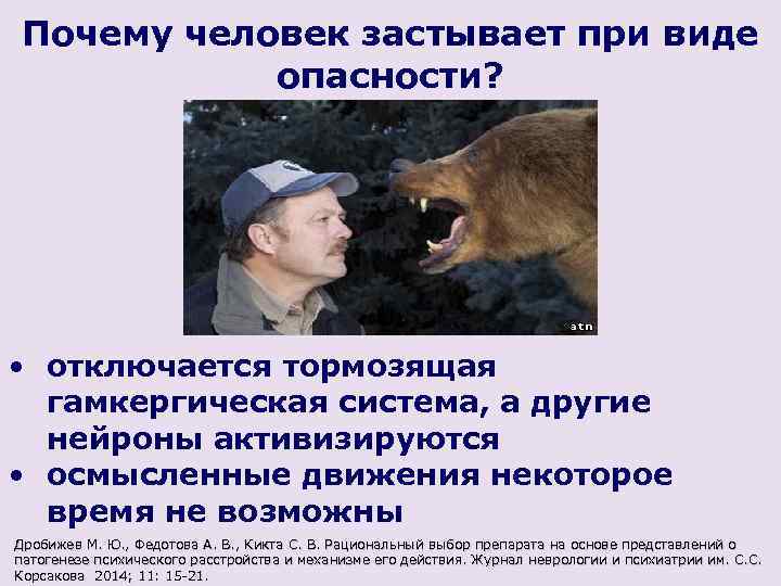 Почему человек застывает при виде опасности? • отключается тормозящая гамкергическая система, а другие нейроны