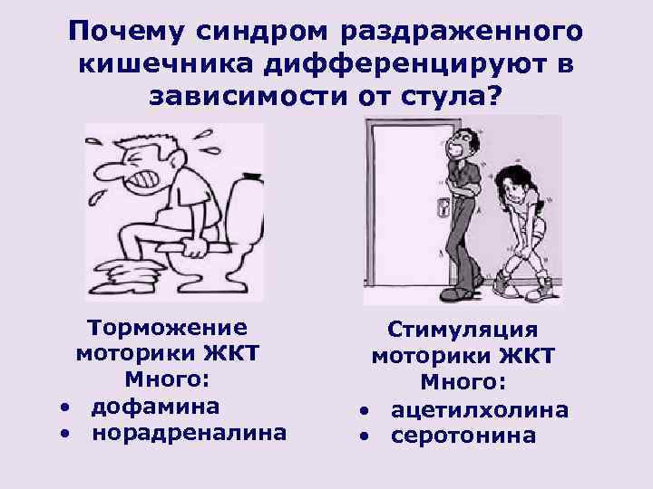 Почему синдром раздраженного кишечника дифференцируют в зависимости от стула? Торможение моторики ЖКТ Много: •