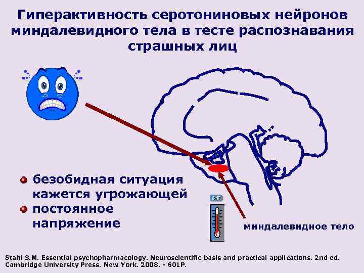 Гиперактивность серотониновых нейронов миндалевидного тела в тесте распознавания страшных лиц безобидная ситуация кажется угрожающей