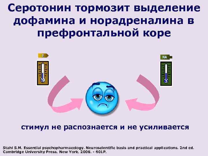 Серотонин тормозит выделение дофамина и норадреналина в префронтальной коре стимул не распознается и не