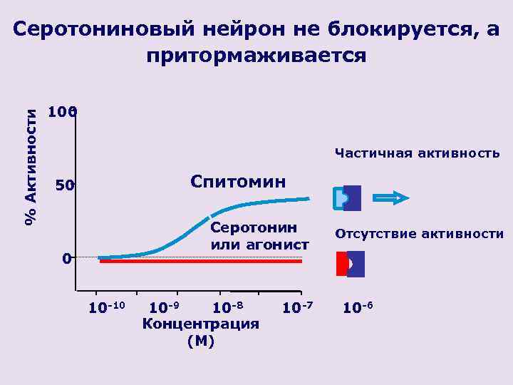 % Активности Серотониновый нейрон не блокируется, а притормаживается 100 Частичная активность Спитомин 50 Серотонин