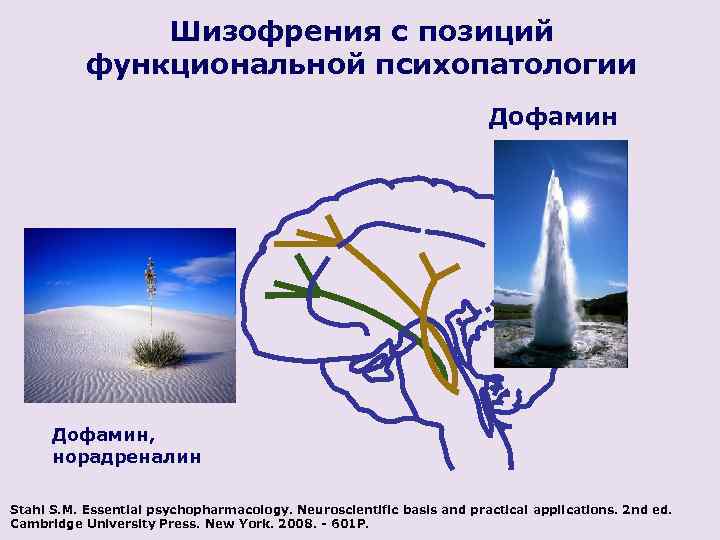 Шизофрения с позиций функциональной психопатологии Дофамин, норадреналин Stahl S. M. Essential psychopharmacology. Neuroscientific basis