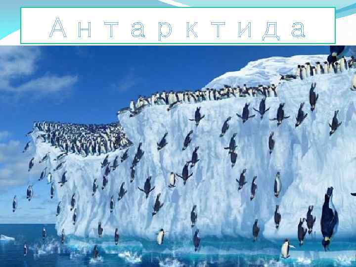 Антарктида 