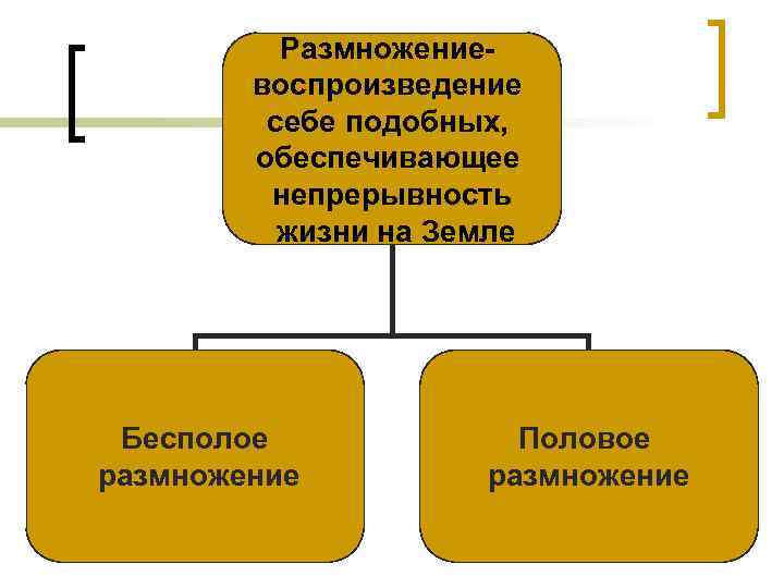 Размножениевоспроизведение себе подобных, обеспечивающее непрерывность жизни на Земле Бесполое размножение Половое размножение 