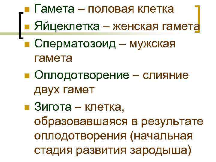 n n n Гамета – половая клетка Яйцеклетка – женская гамета Сперматозоид – мужская