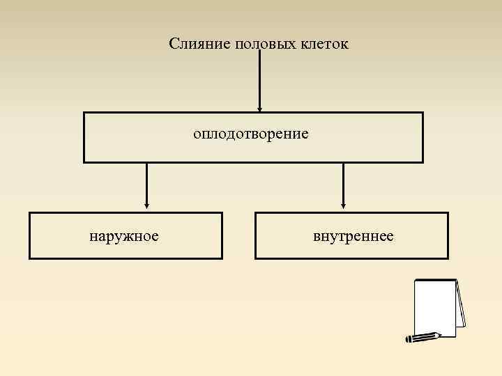 Слияние половых клеток оплодотворение наружное внутреннее 