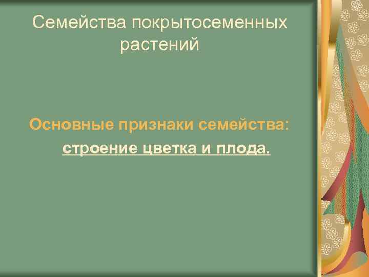 Семейства покрытосеменных растений Основные признаки семейства: строение цветка и плода. 