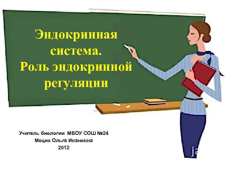 Эндокринная система. Роль эндокринной регуляции Учитель биологии МБОУ СОШ № 24 Мецих Ольга Ивановна