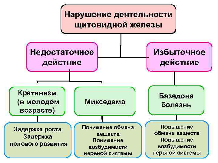 Нарушение деятельности щитовидной железы Недостаточное действие Кретинизм (в молодом возрасте) Задержка роста Задержка полового
